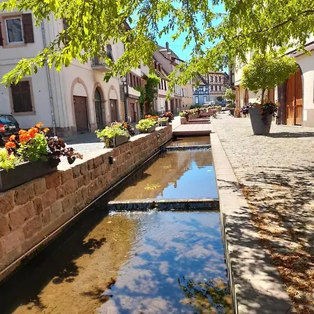 Le Rouge Et Noir アパート