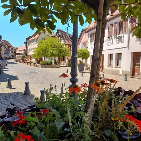 Le Rouge Et Noir アパート *